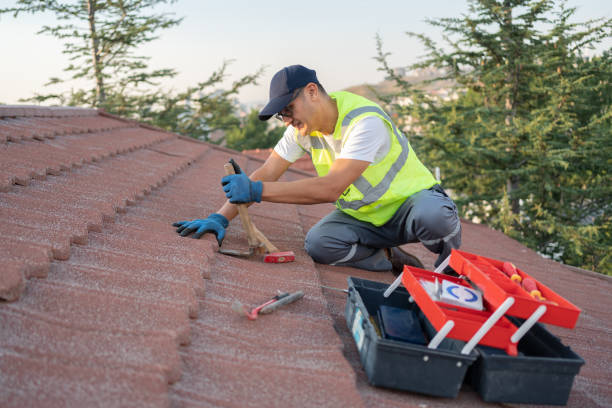 Best Residential Roofing Contractor  in Munster, IN